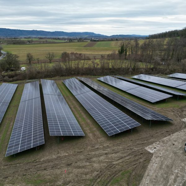 Solarpark in Radolfzell am Bodensee Solarpark in Radolfzell am Bodensee